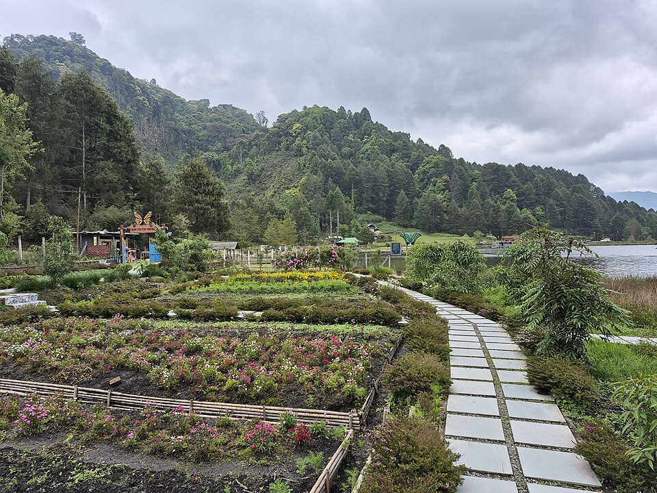 Ziro — multi-vendor marketplaces for local businesses