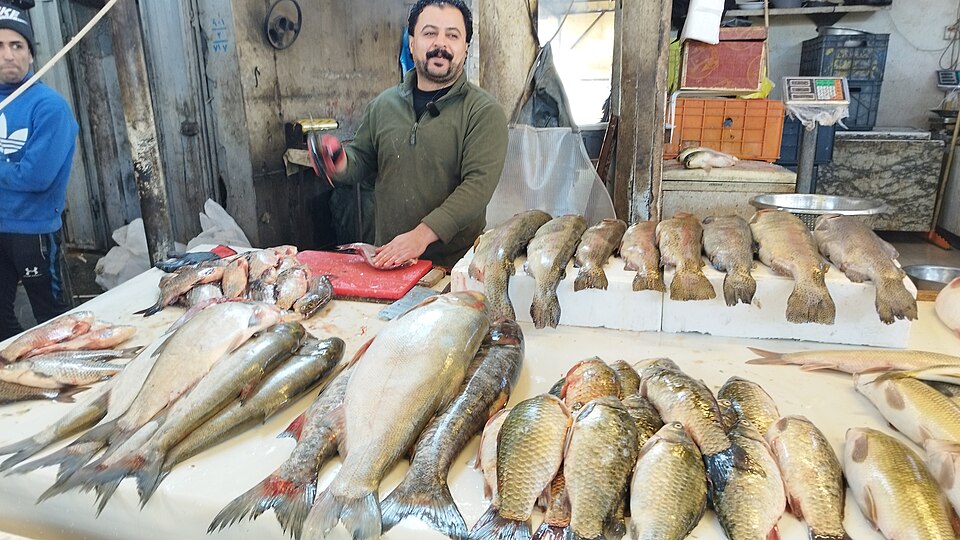 Mosul — multi-vendor marketplaces for local businesses