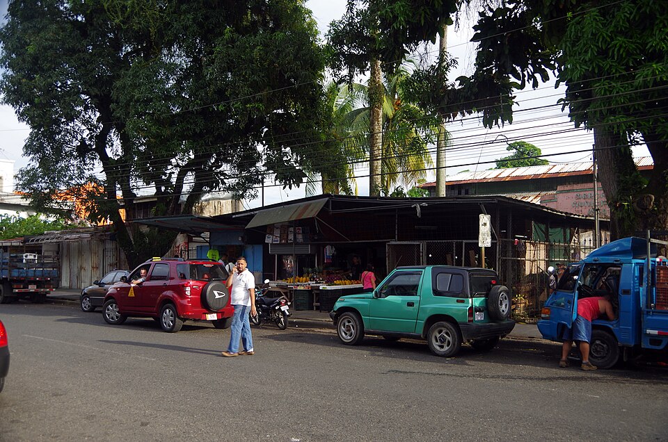 Puerto Limón — local market for B2B and wholesale portals