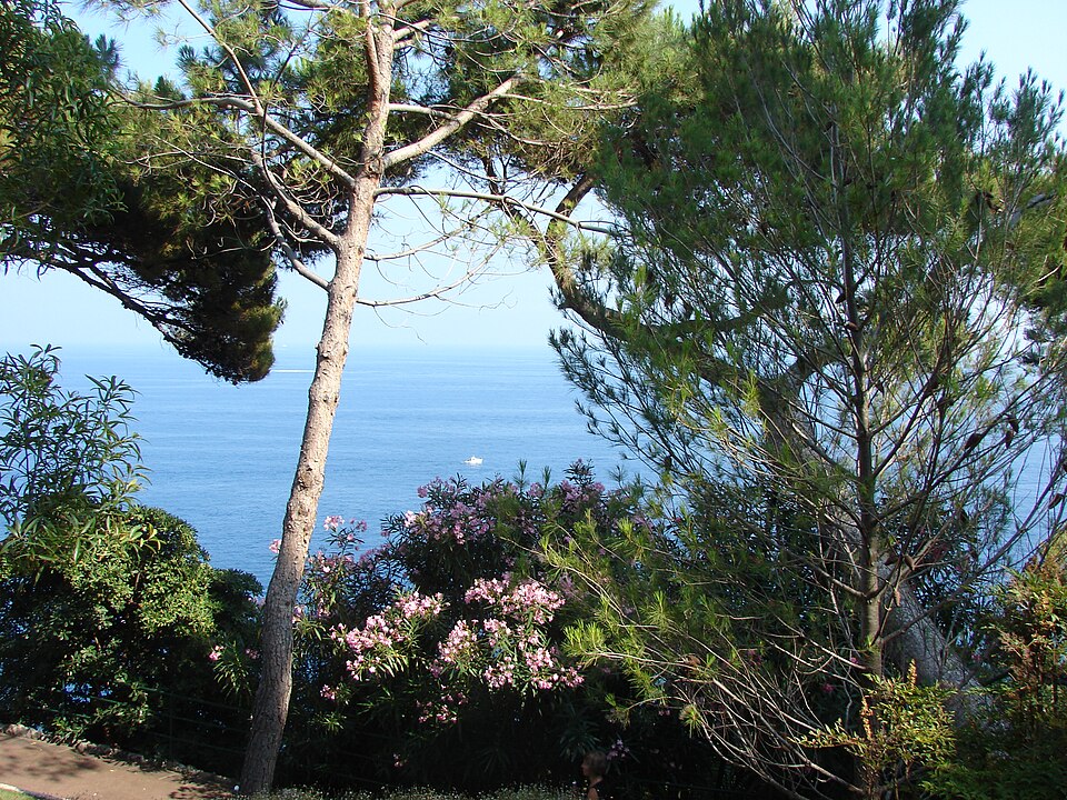 Monaco — B2B and wholesale portals for local businesses