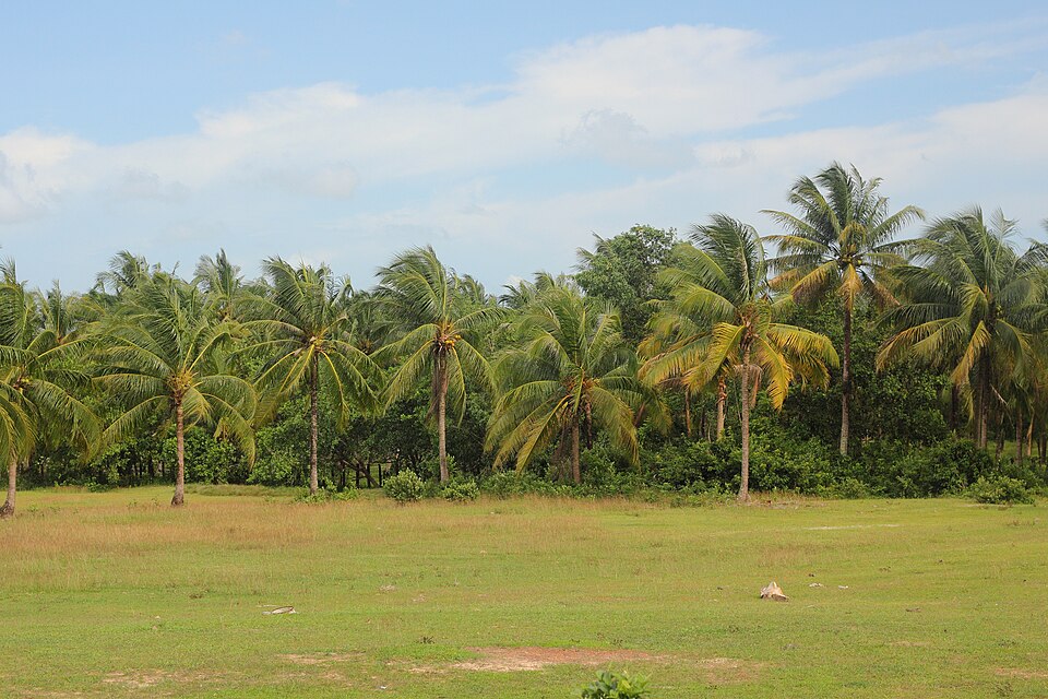 Sihanoukville — international and multi-region stores for local businesses