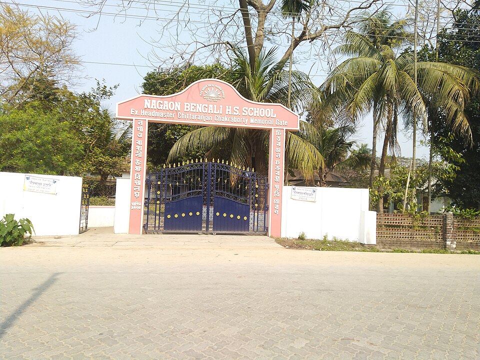 Nagaon — local market for service booking platforms