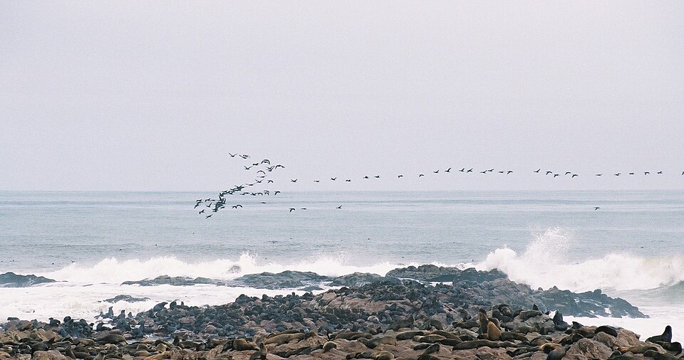 Walvis Bay — multi-vendor marketplaces for local businesses