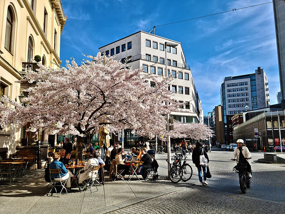 Kristiansand — service booking platforms for local businesses