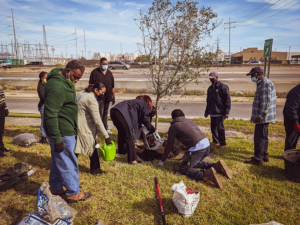 New Orleans — custom e-commerce platforms for local businesses