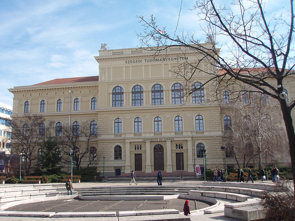 Szeged — custom e-commerce platforms for local businesses