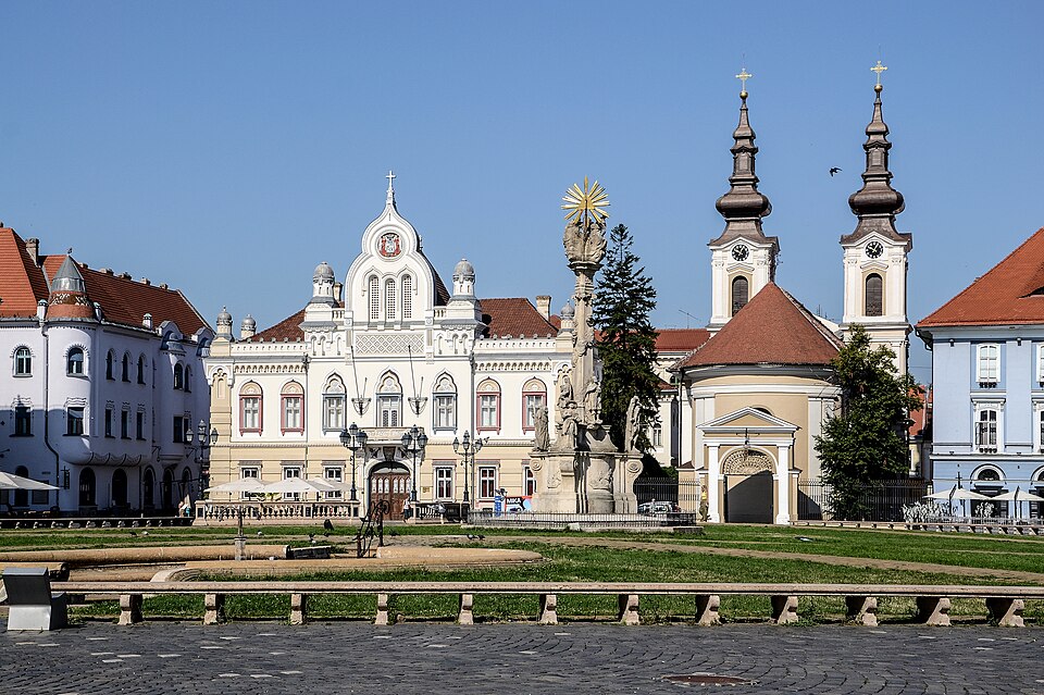 Timișoara — local market for B2B and wholesale portals