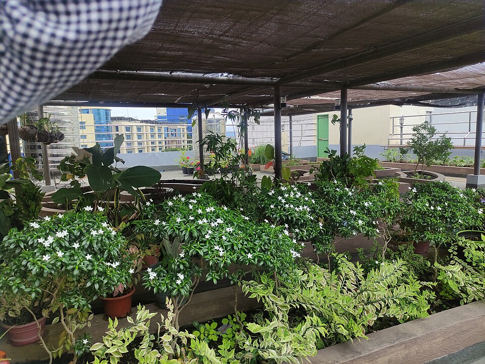 Davao City — custom e-commerce platforms for local businesses