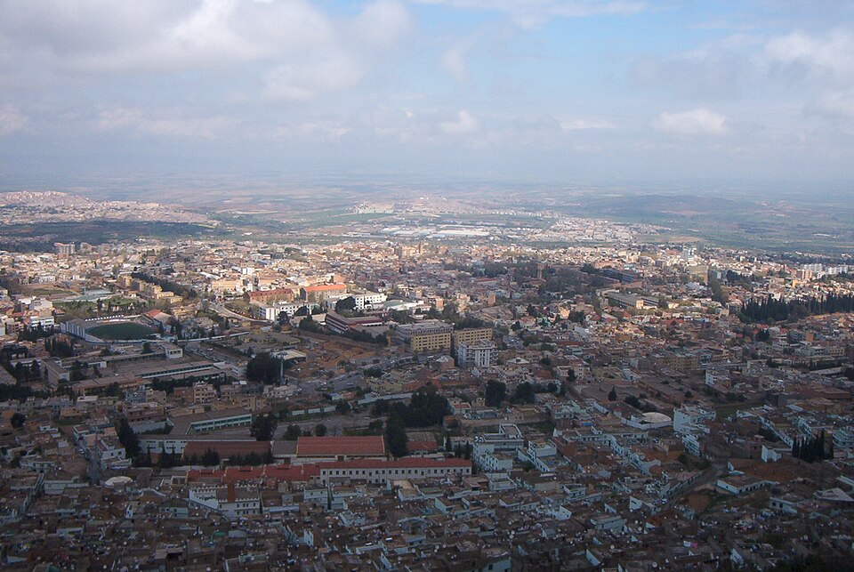 Tlemcen — manufacturer and distributor portals for local businesses