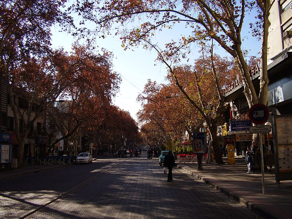 Mendoza — local market for custom e-commerce platforms