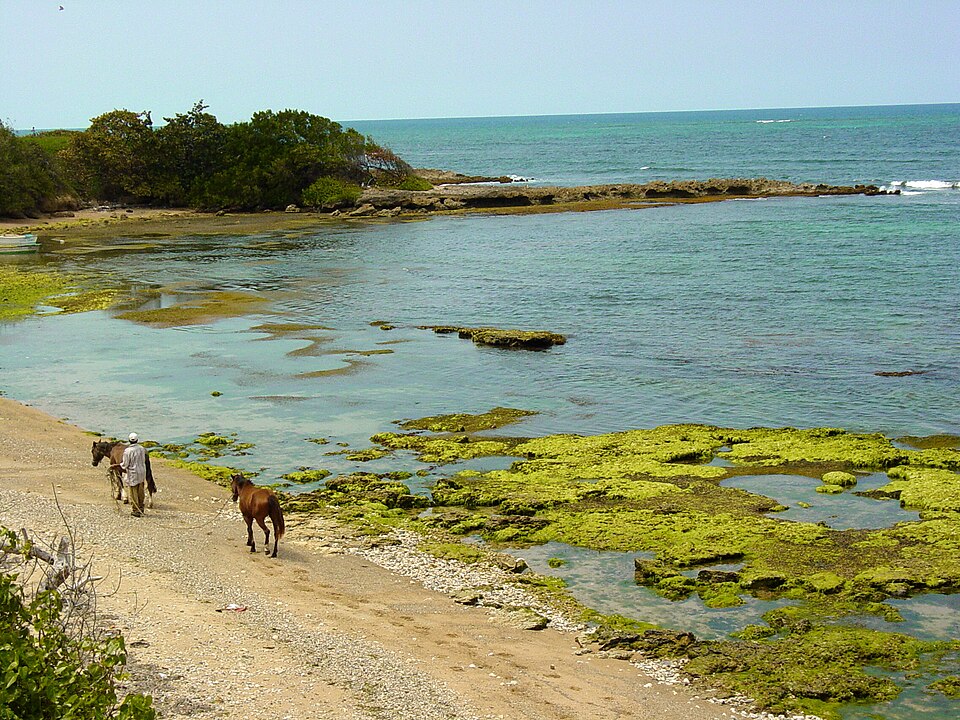 Puerto Plata — B2B and wholesale portals for local businesses