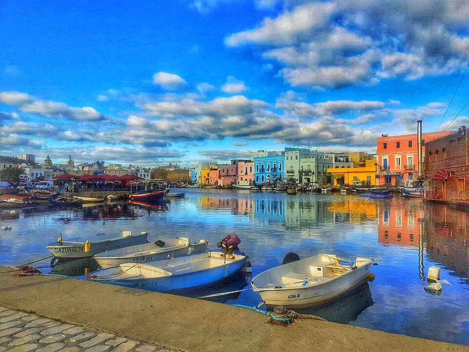 Bizerte — manufacturer and distributor portals for local businesses