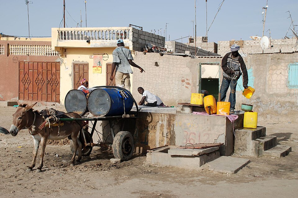 Nouakchott — mobile commerce apps for local businesses