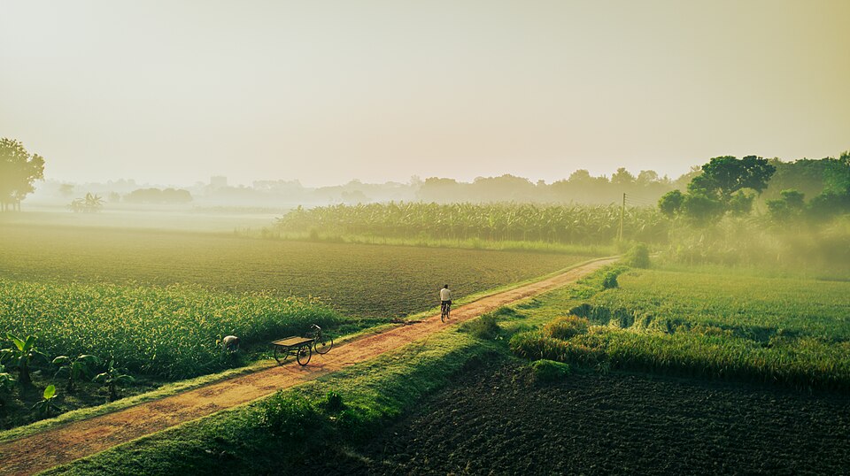Bangladesh — mobile commerce apps for local businesses