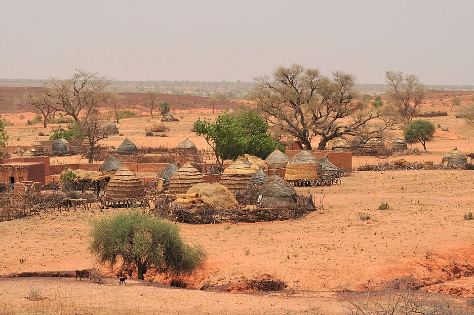 Niger — subscription and membership platforms for local businesses