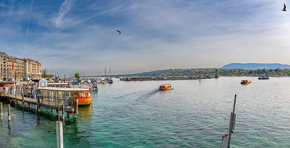Geneva — manufacturer and distributor portals for local businesses