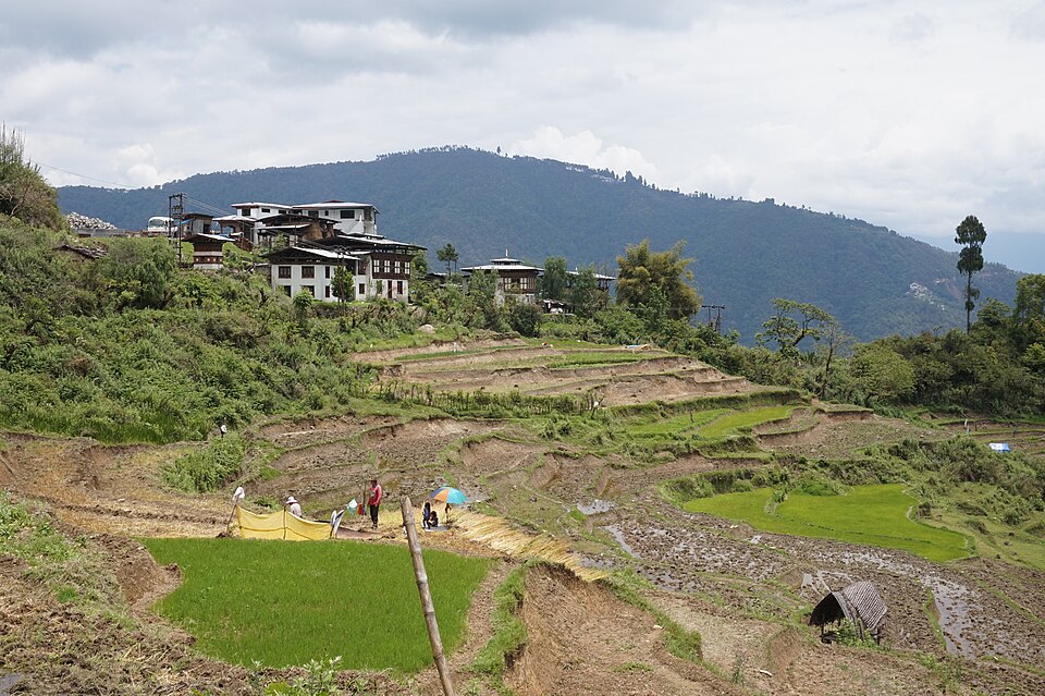 Bhutan — local market for B2B and wholesale portals