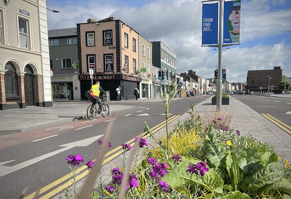 Limerick — local market for service booking platforms