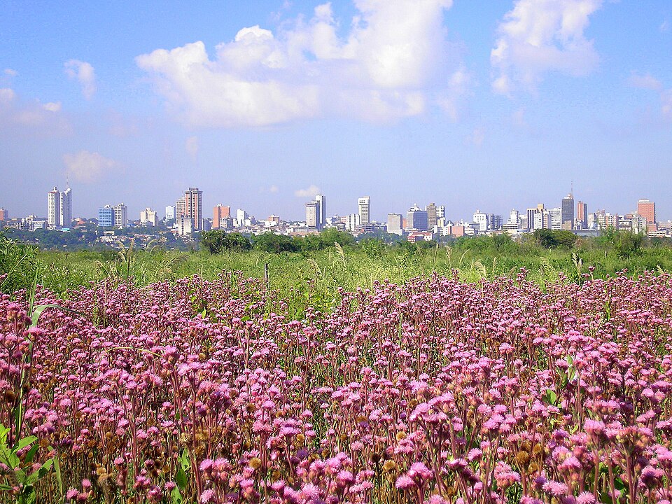 Asunción — online stores for local businesses