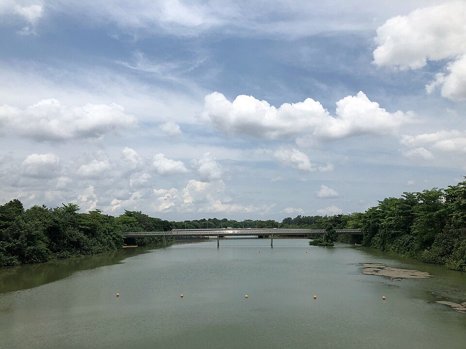 Punggol — local market for manufacturer and distributor portals