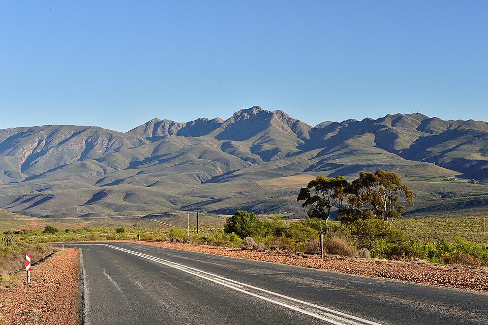 South Africa — multi-vendor marketplaces for local businesses