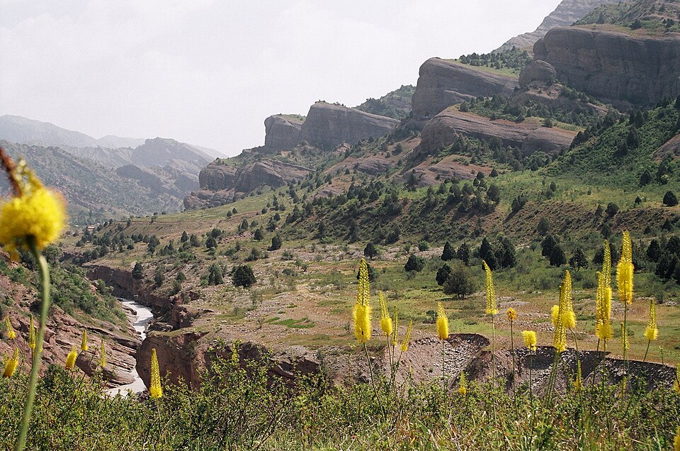 Tajikistan — multi-vendor marketplaces for local businesses