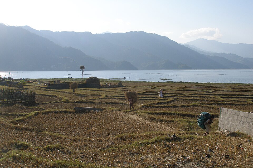 Pokhara — local market for mobile commerce apps