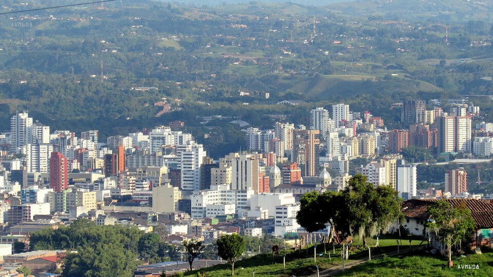 Pereira — local market for online stores