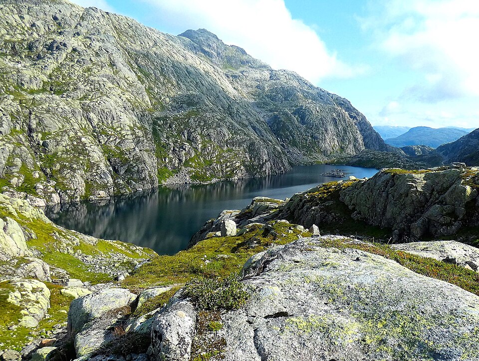 Norway — online stores for local businesses