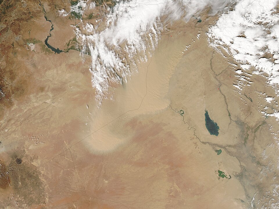 Iraq — online stores for local businesses
