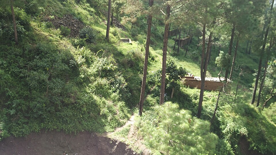 Kasauli — subscription and membership platforms for local businesses