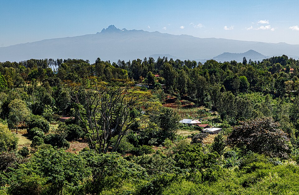 Nyeri — local market for B2B and wholesale portals