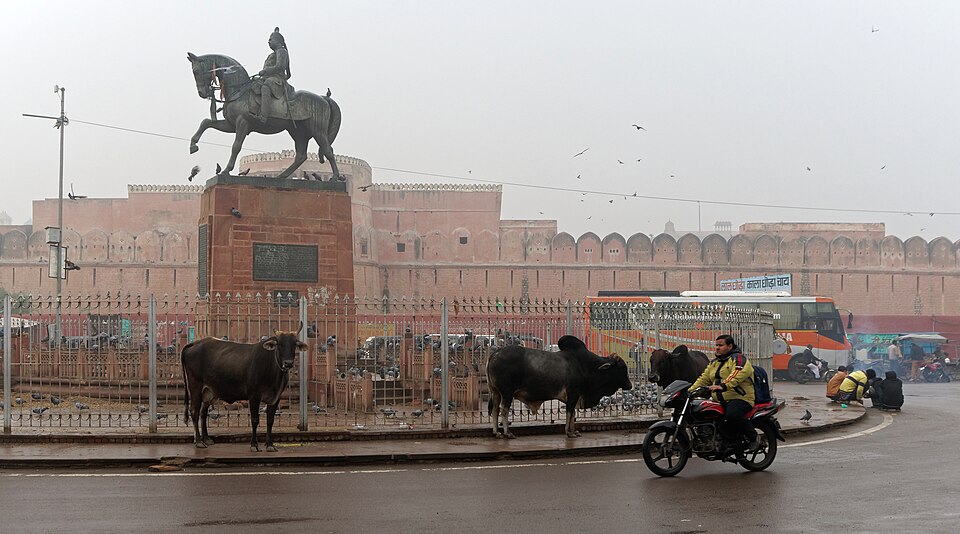 Bikaner — local market for mobile commerce apps