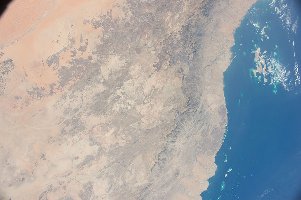 Dammam — custom e-commerce platforms for local businesses