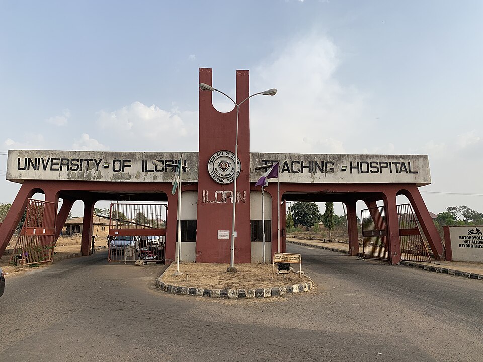 Ilorin — local market for multi-vendor marketplaces