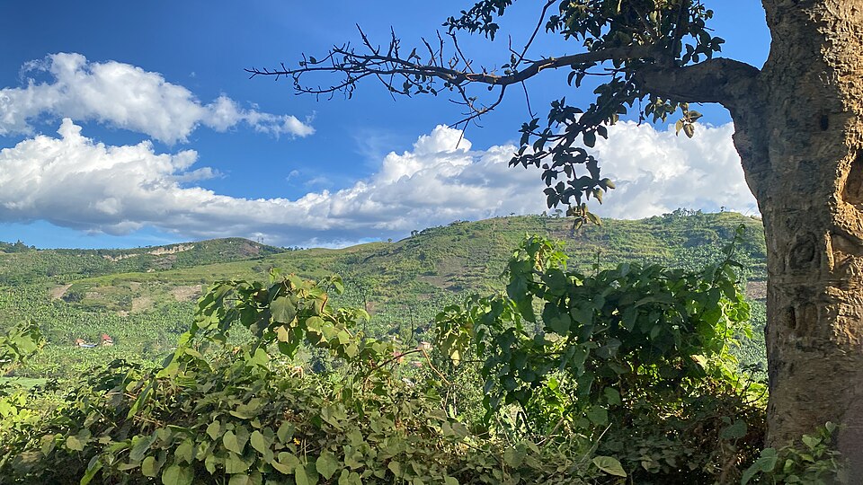 Uganda — local market for subscription and membership platforms