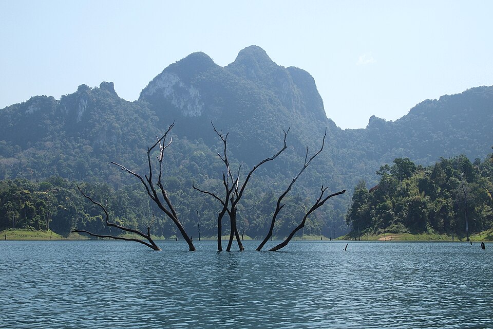Thailand — manufacturer and distributor portals for local businesses