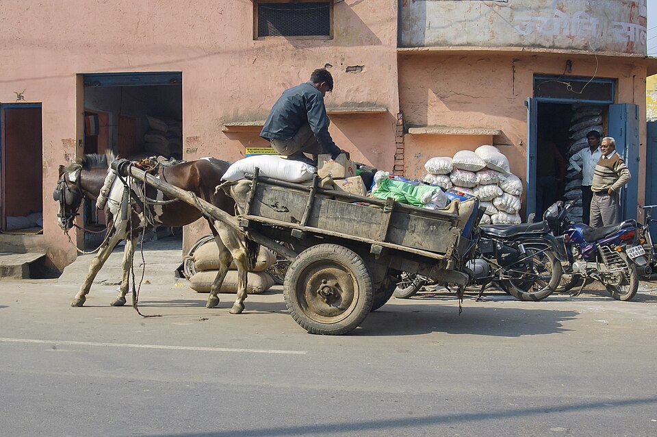 Agra — online stores for local businesses