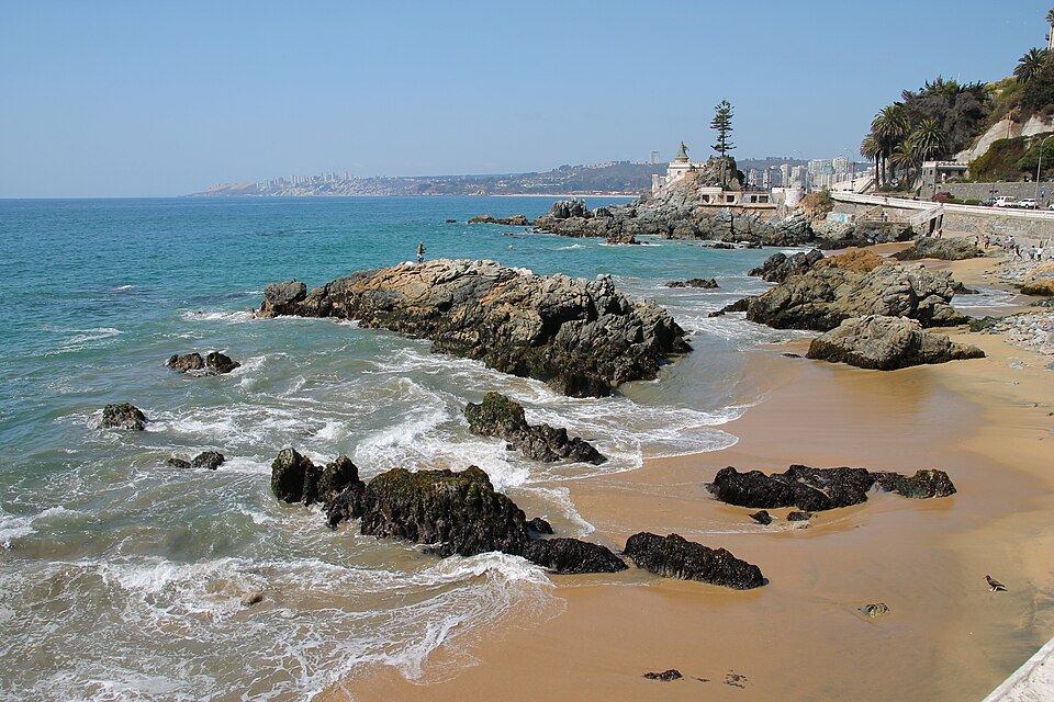Viña del Mar — local market for multi-vendor marketplaces