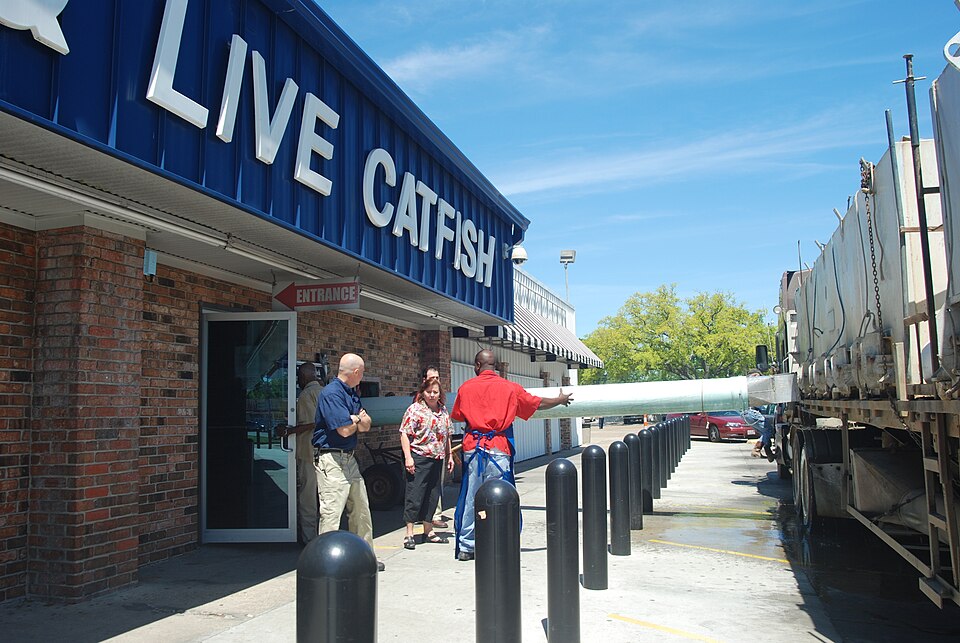 Baton Rouge — multi-vendor marketplaces for local businesses