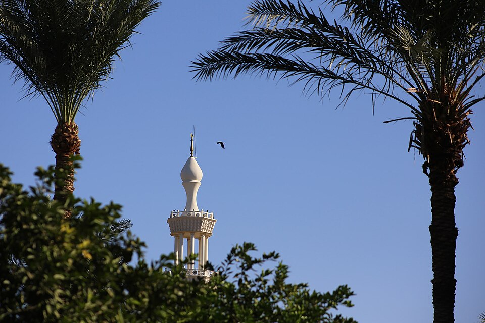 Aqaba — B2B and wholesale portals for local businesses