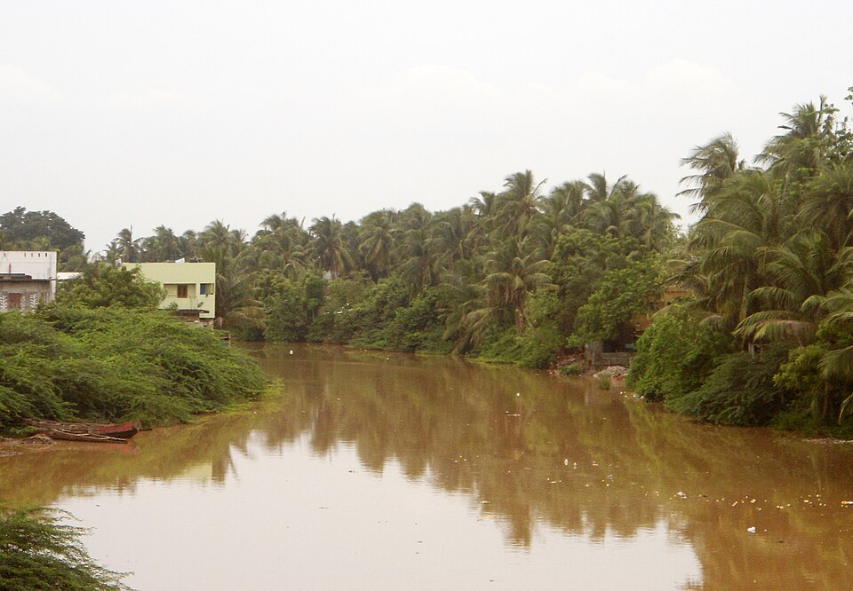 Yanam — local market for service booking platforms