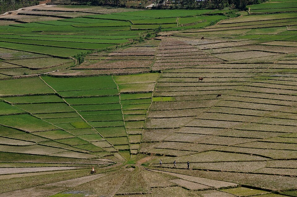 Indonesia — local market for international and multi-region stores
