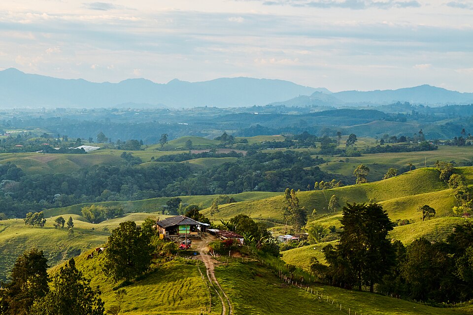 Colombia — local market for multi-vendor marketplaces