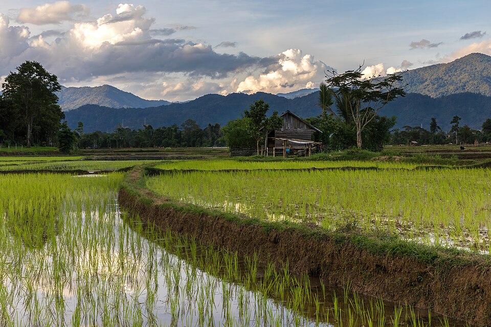 Vang Vieng — B2B and wholesale portals for local businesses