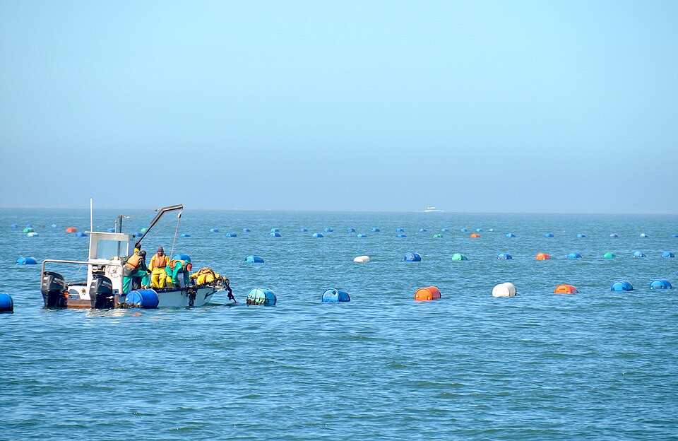 Walvis Bay — subscription and membership platforms for local businesses