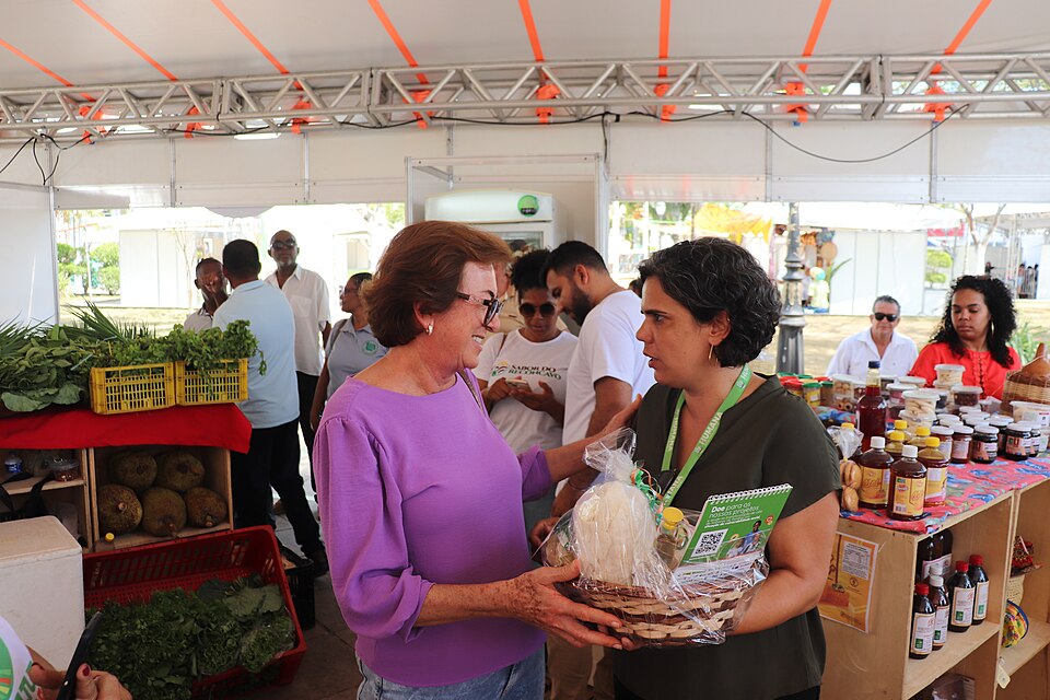 Santo Amaro — local market for manufacturer and distributor portals