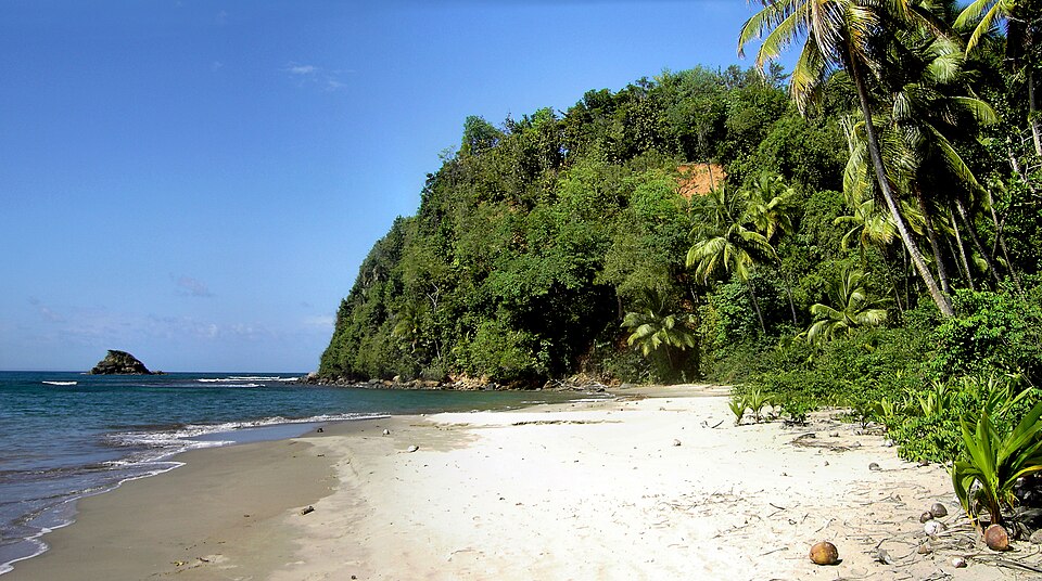 Dominica — online stores for local businesses