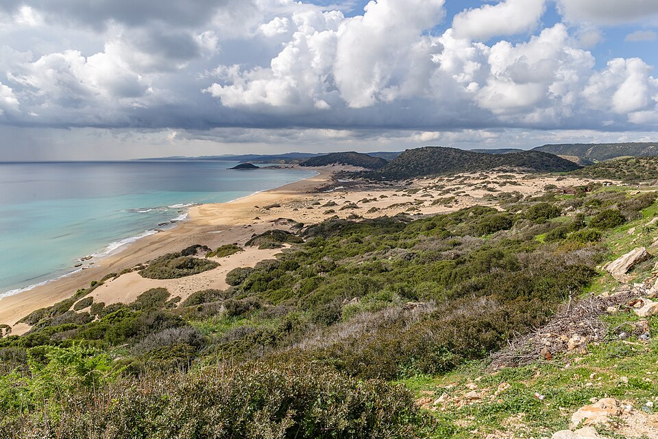 Cyprus — local market for multi-vendor marketplaces