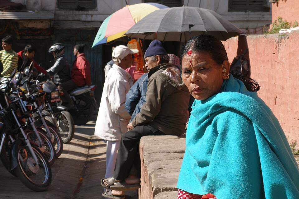 Nepal — manufacturer and distributor portals for local businesses